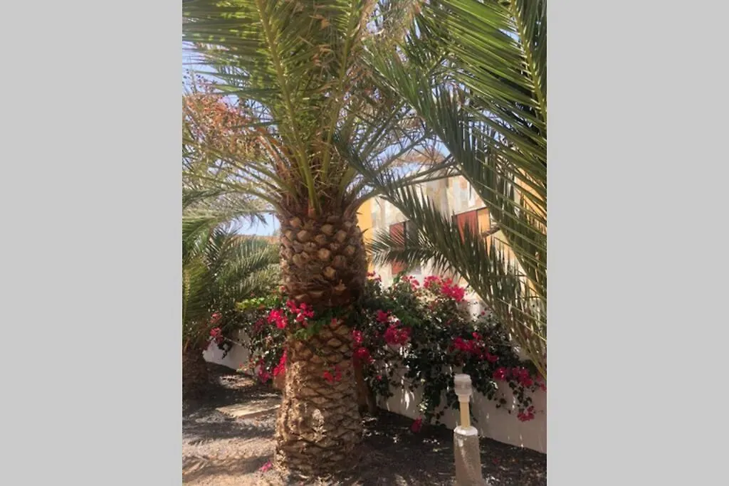 Apartamento Summer Complex Amaya Fuerteventura Costa De Antigua
